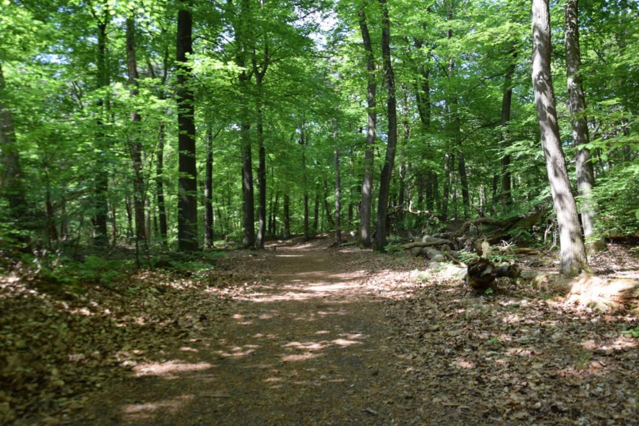 Holiday Inn 48 # Airco # Hygiene # Efteling # Hiking & Biking Oisterwijk Εξωτερικό φωτογραφία
